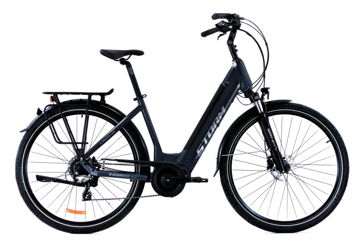 e-diamond_deep_28_lady_4_0_r19_v02 GRA.jpg