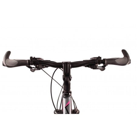 madeira-db-xt (7).jpg