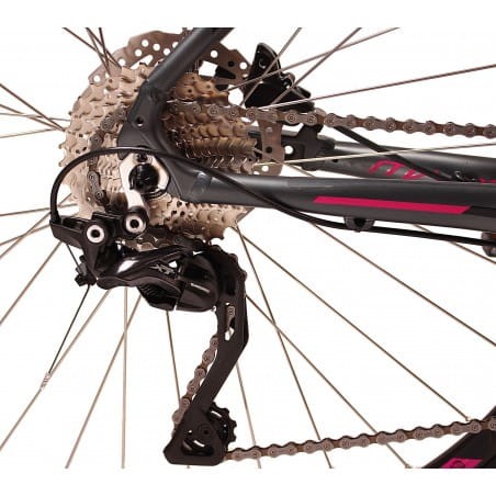 madeira-db-xt (8).jpg